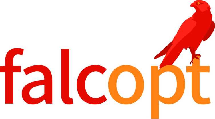 Logo falcOpt