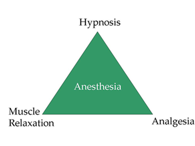 diagram anesthesia